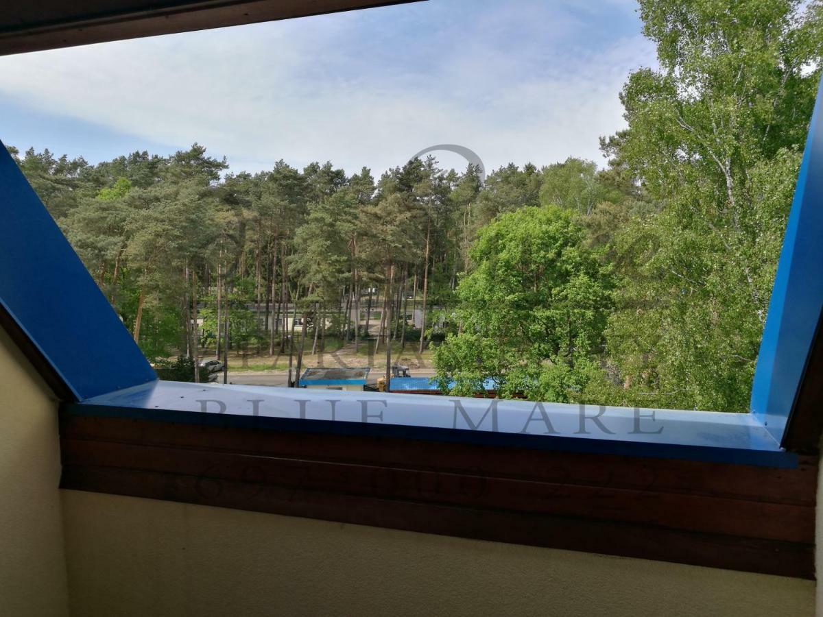 De Luxe Blue Mare